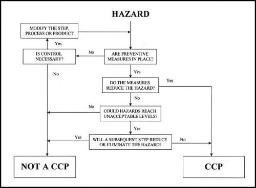 HACCP Plan What Is It And Why Its Important Kombucha Brewers   Haccp Hazard 500x369 