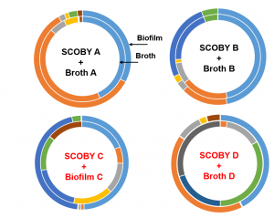 biofilm vs broth comparison of microorganisms composition