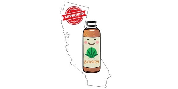 CBD Kombucha