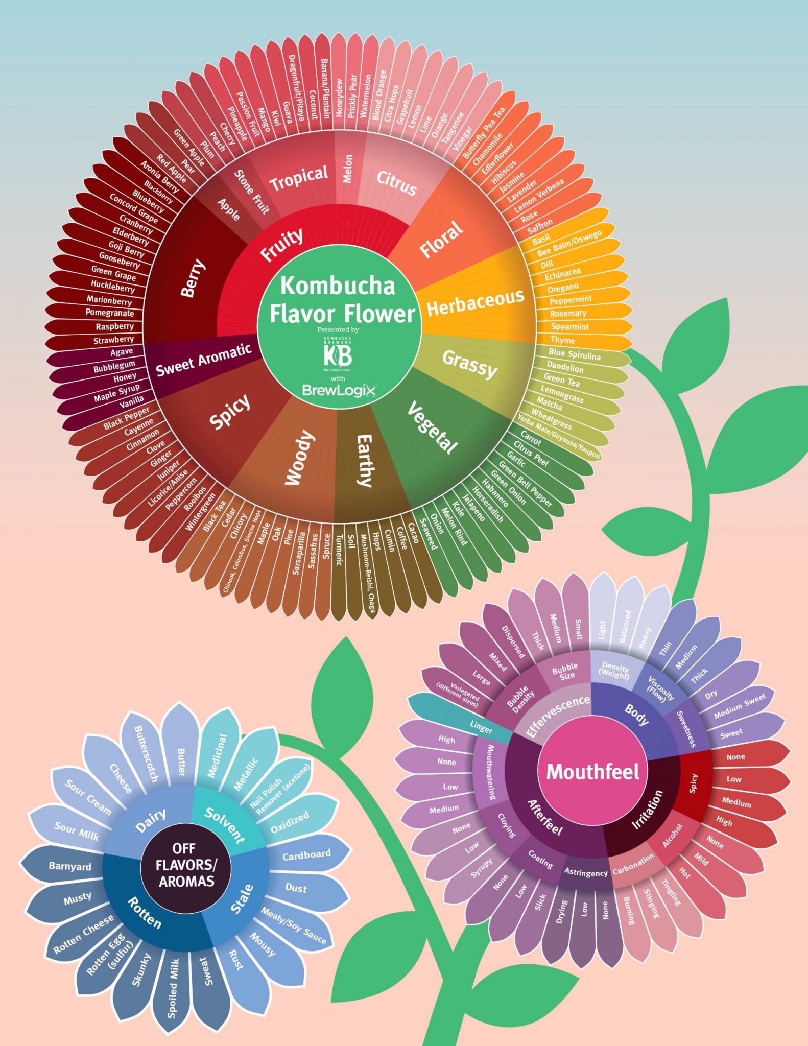 Representation of the potential flavors of Kombucha in the form of multiple flowers with many petals.