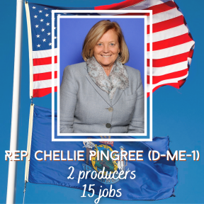 Pingree Cosponsor SM 2021